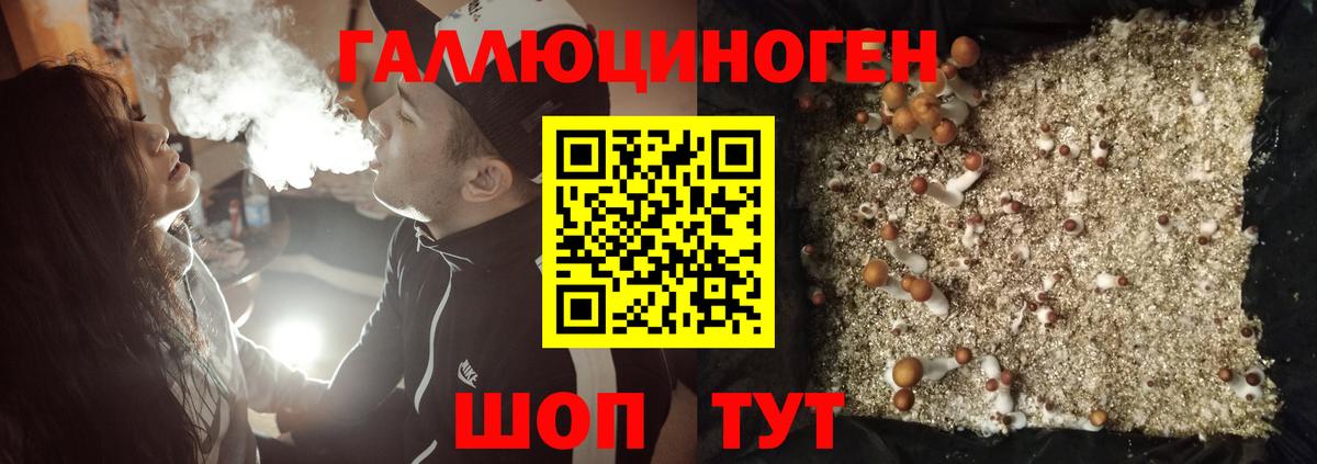Галлюциногенные грибы прущие грибы Новосибирск