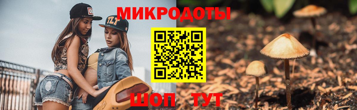 Псилоцибиновые грибы MAGIC MUSHROOMS  Вход с VPN  Новосибирск 